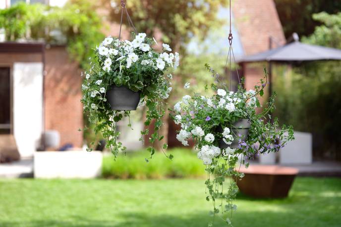 vibia campana hanging basket 26cm anthracite